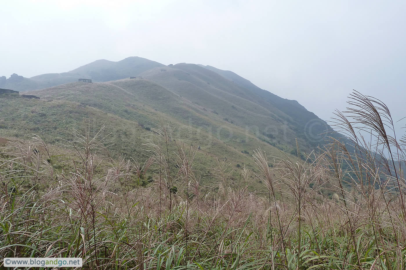Lantau Trail - Walking the top